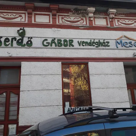 Gábor *